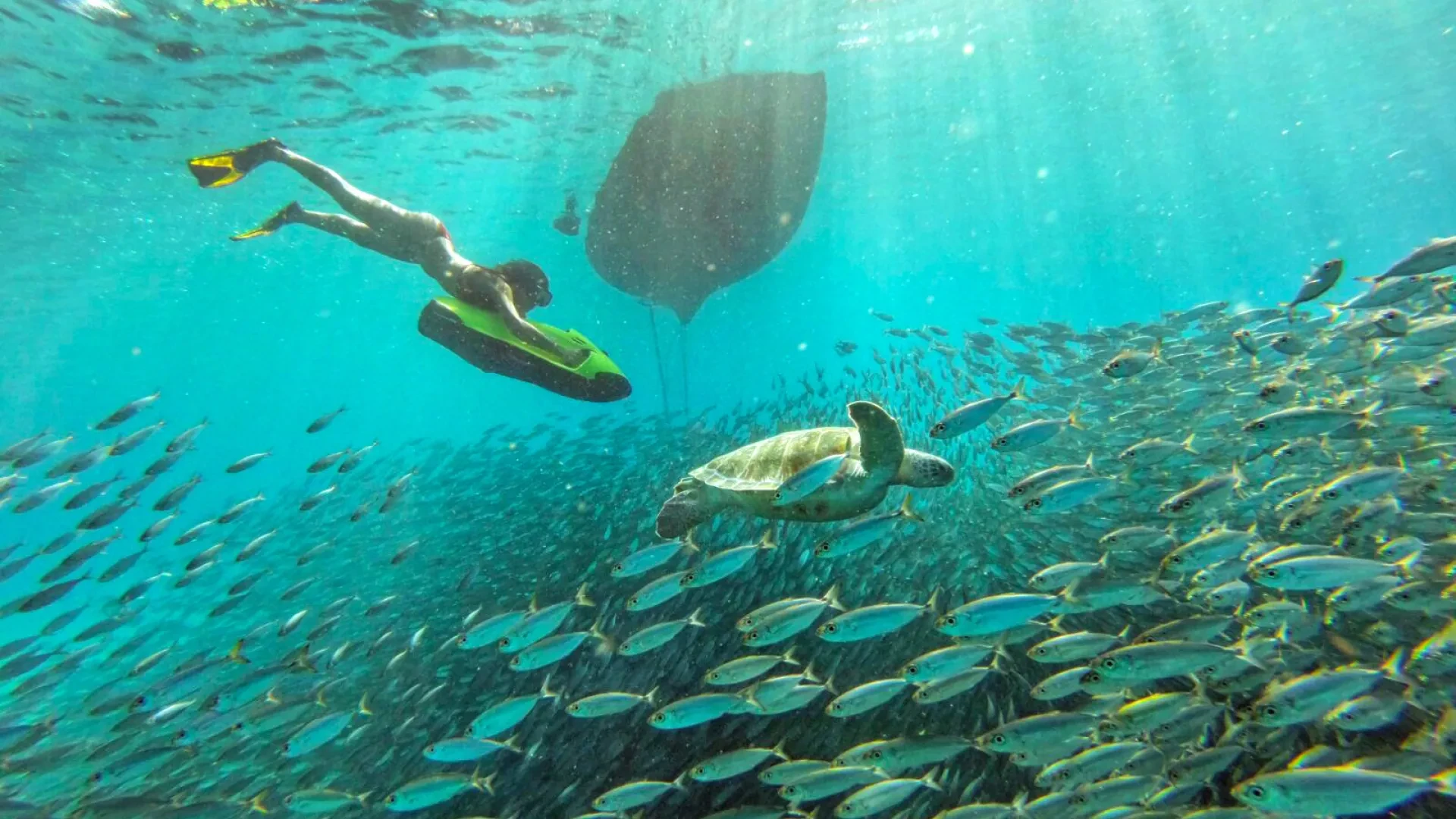 SeaBob Tour in Curacao