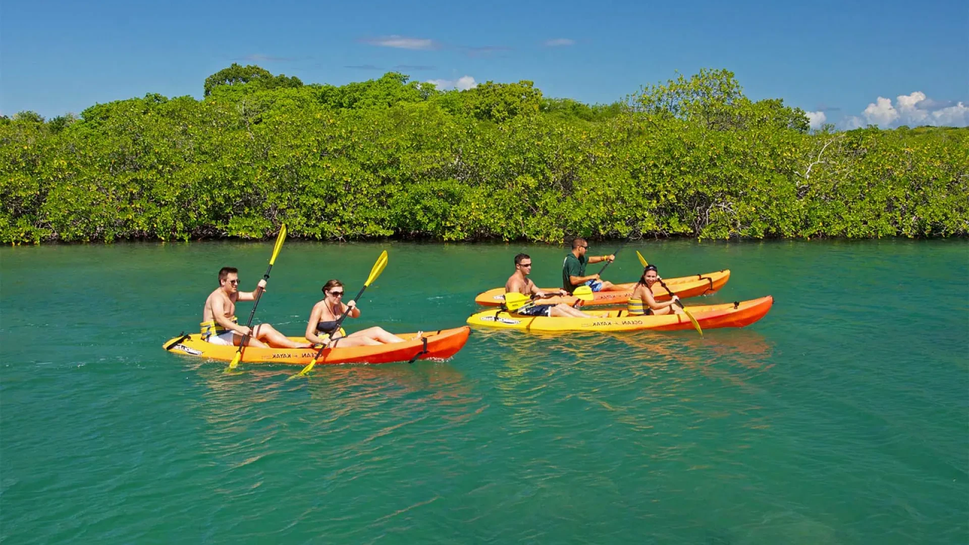 Kayak Eco Tour in Curacao
