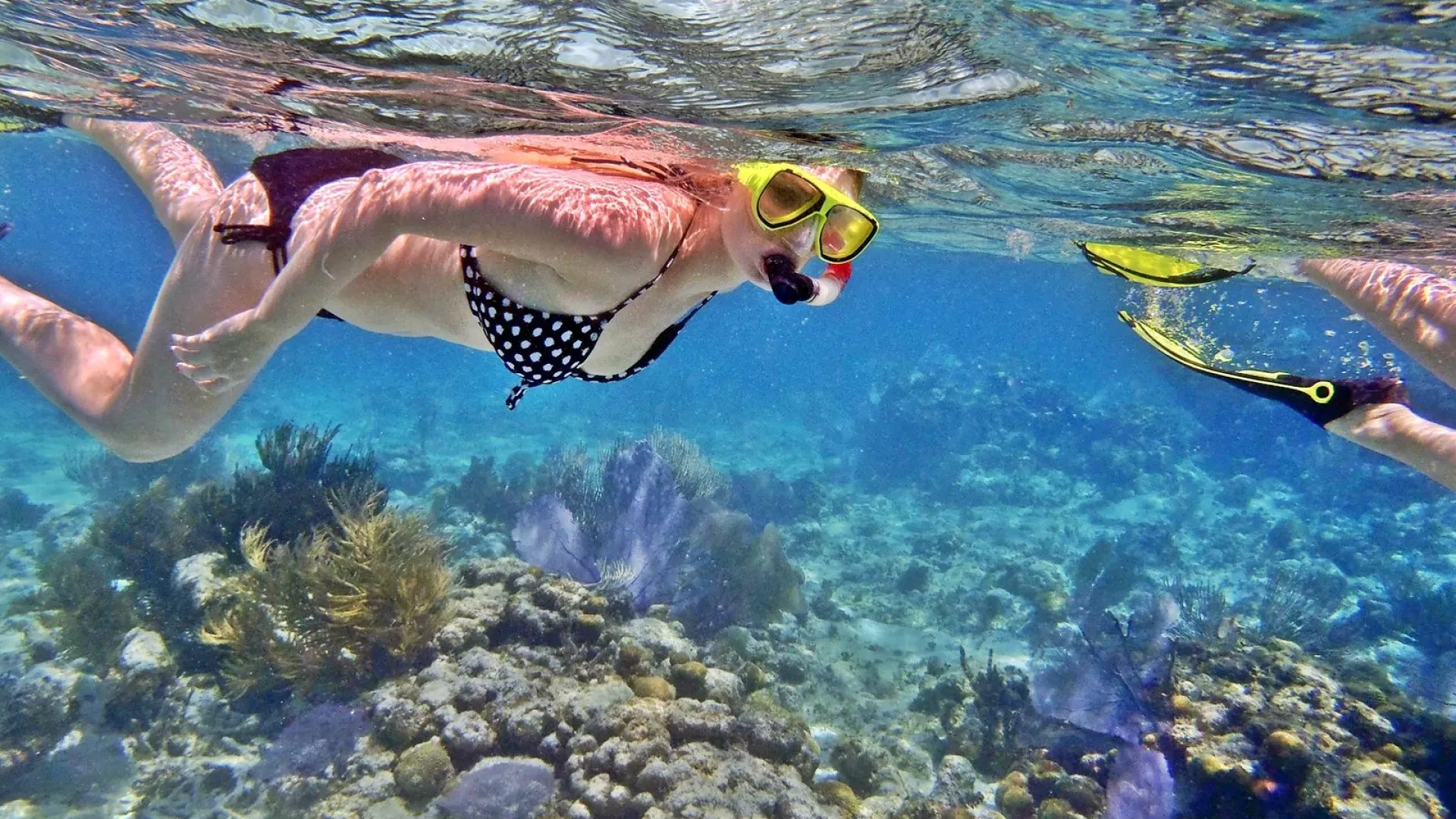 Catamaran Snorkeling Adventure from Sosua - Half Day