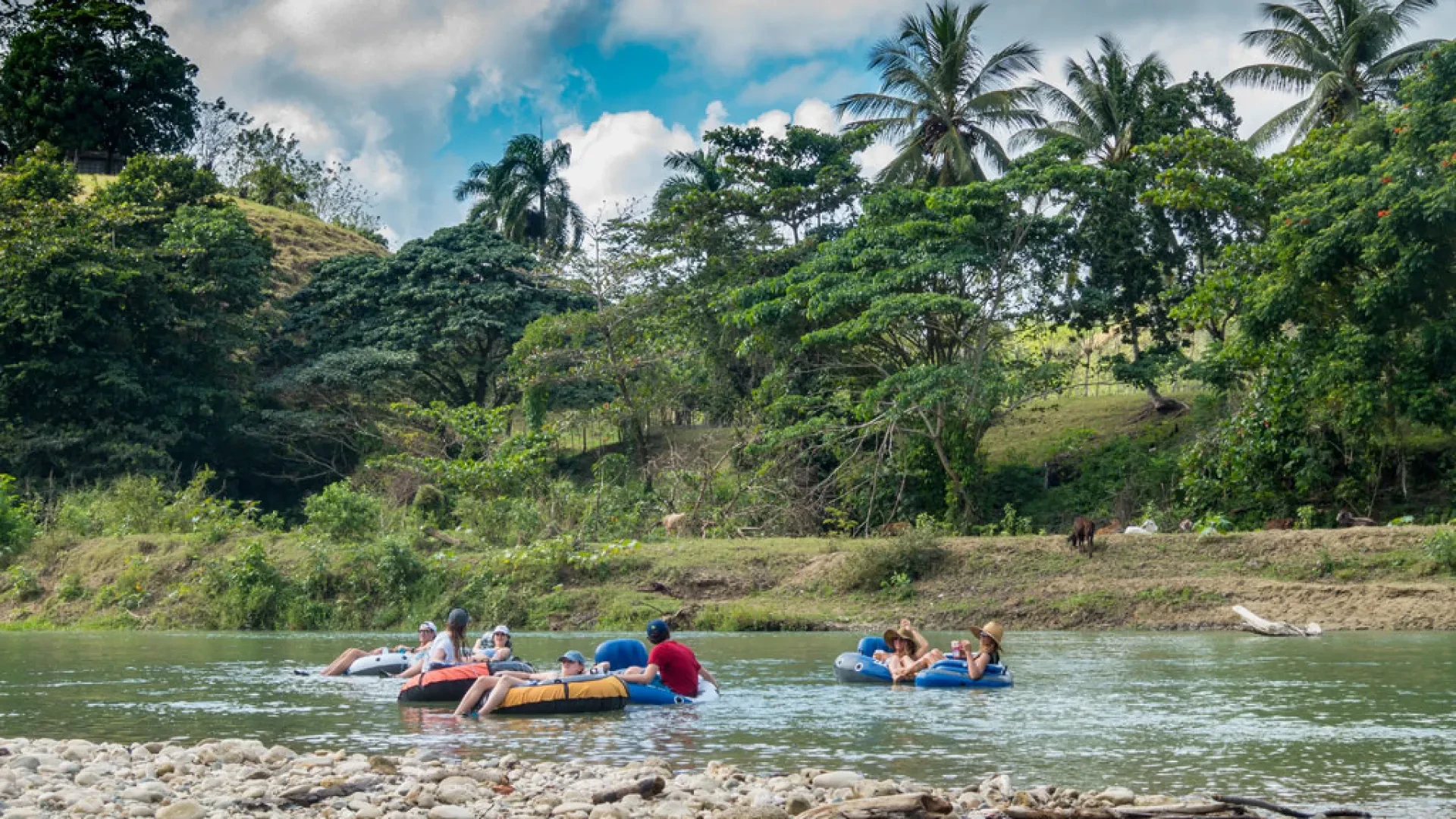 Chill River Tubing from Cabarete, Puerto Plata