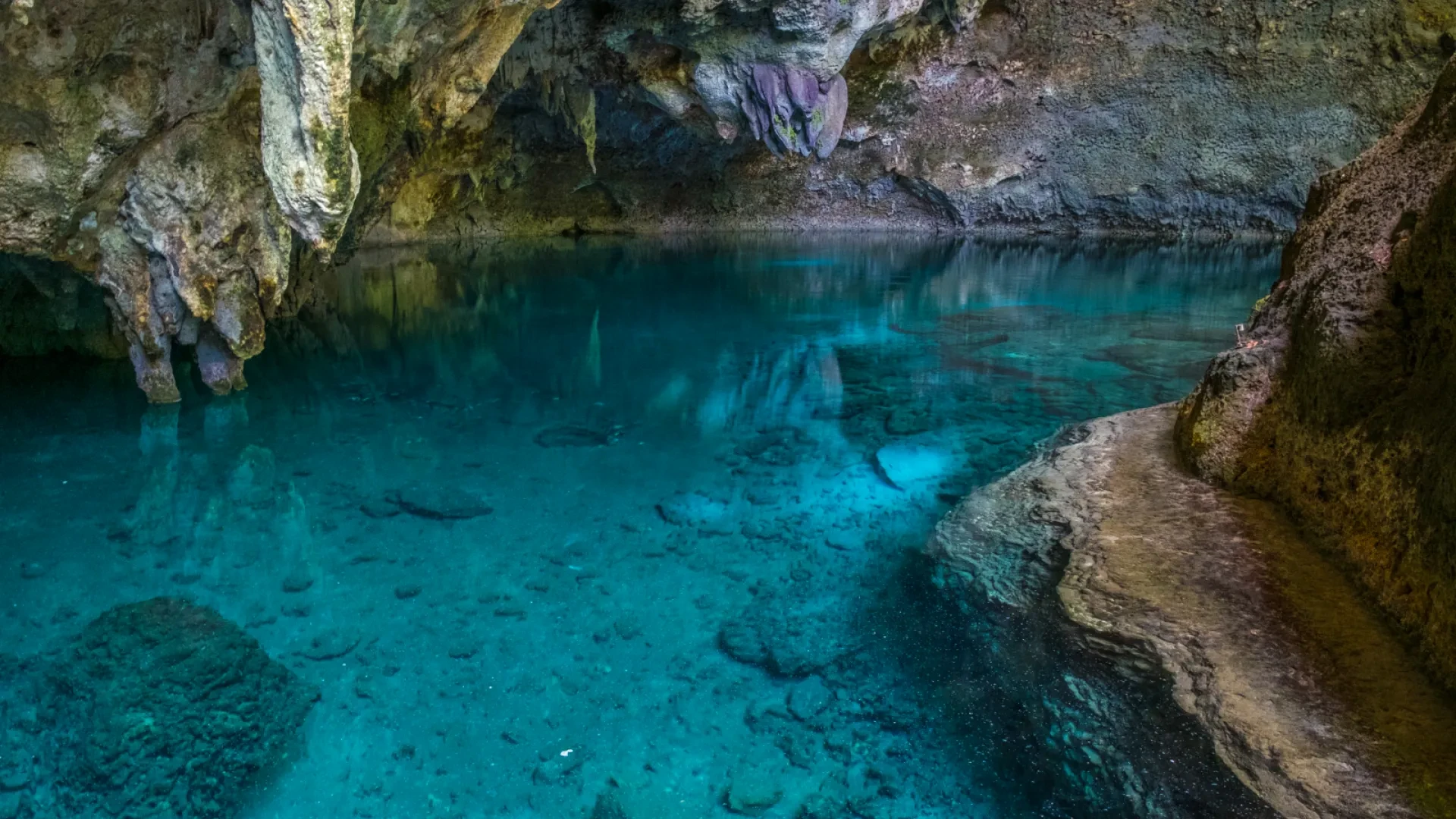 Guided Bike Tour to the Los Tres Ojos National Park from the Colonial Zone - 15 km