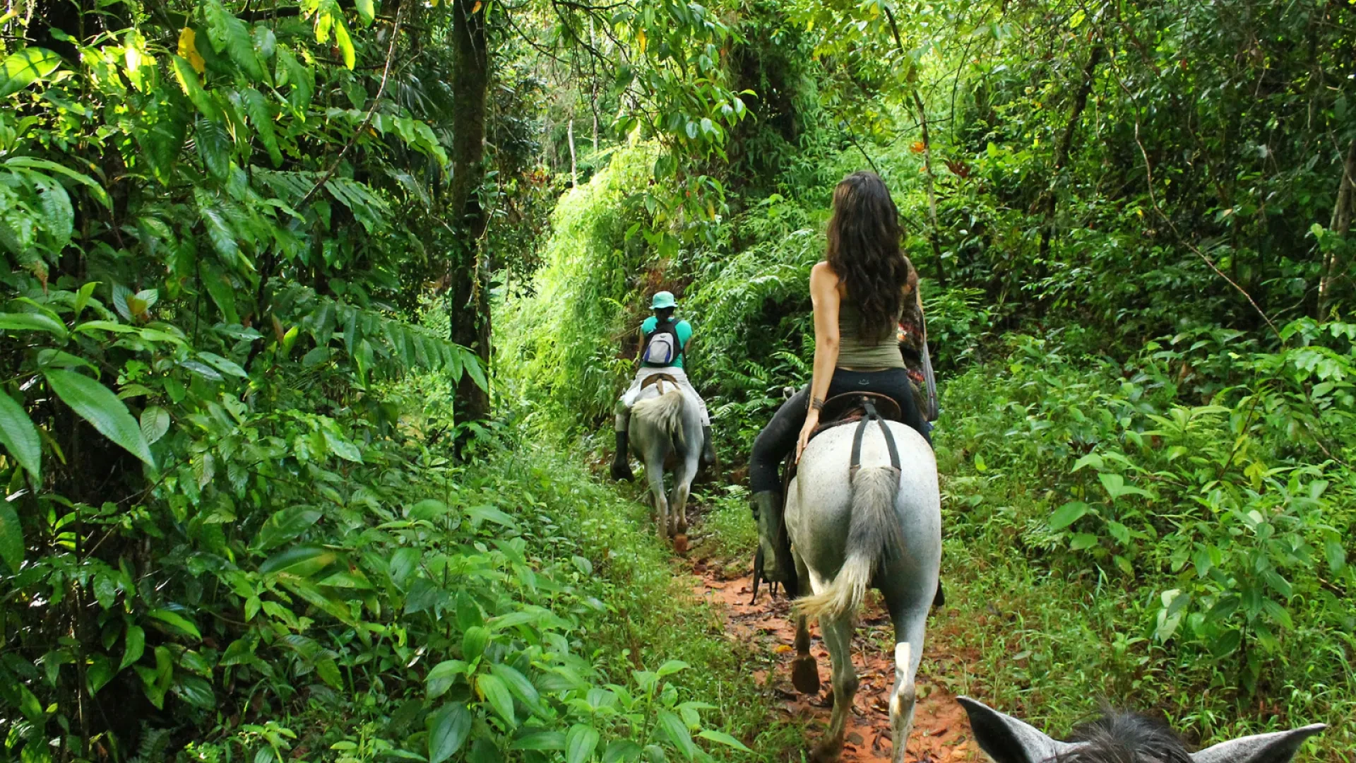 Horseback Riding and Ziplining Tour in Puerto Plata