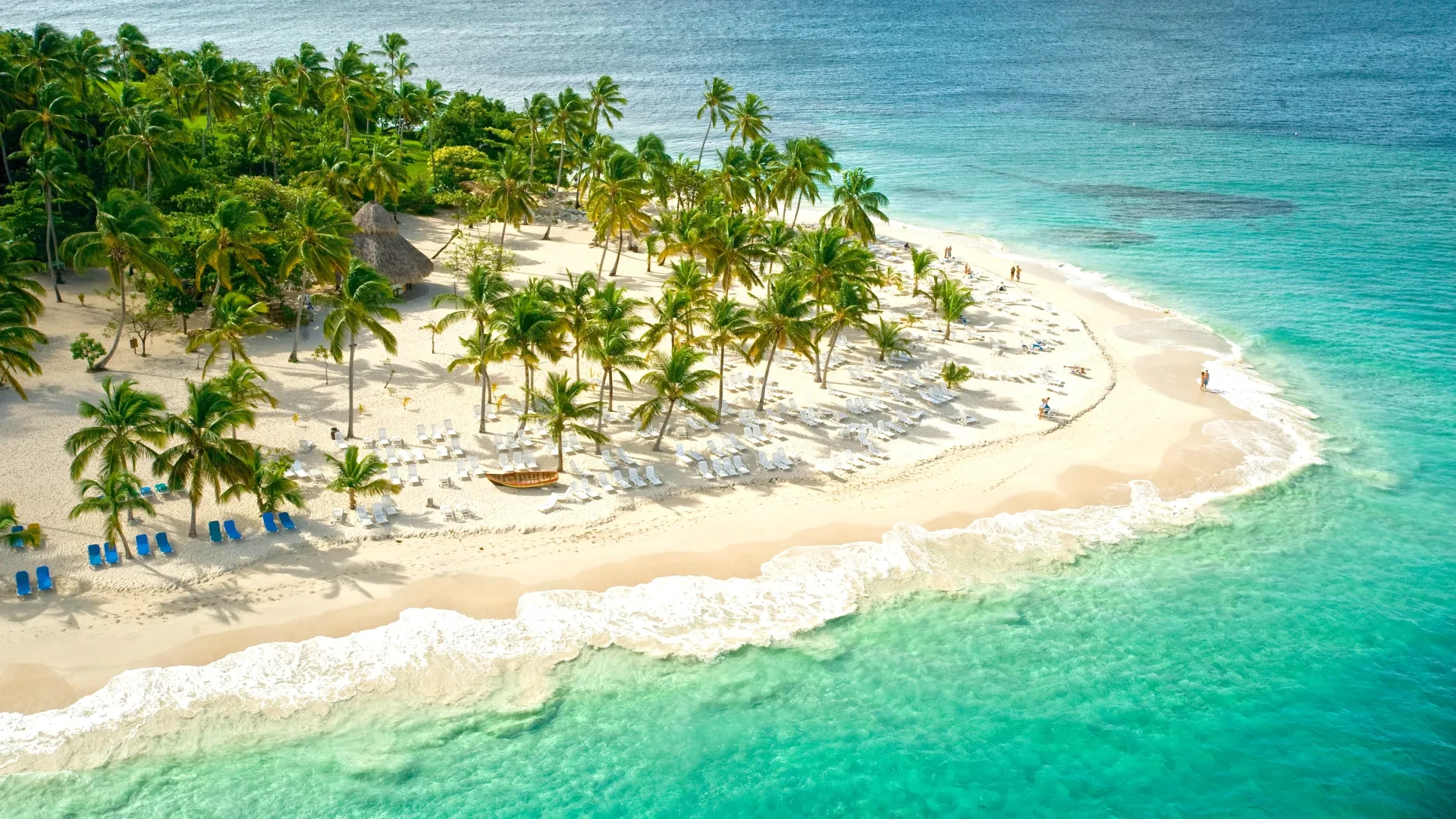 Day Trip to Los Haitises National Park and Cayo Levantado Island from Las Galeras