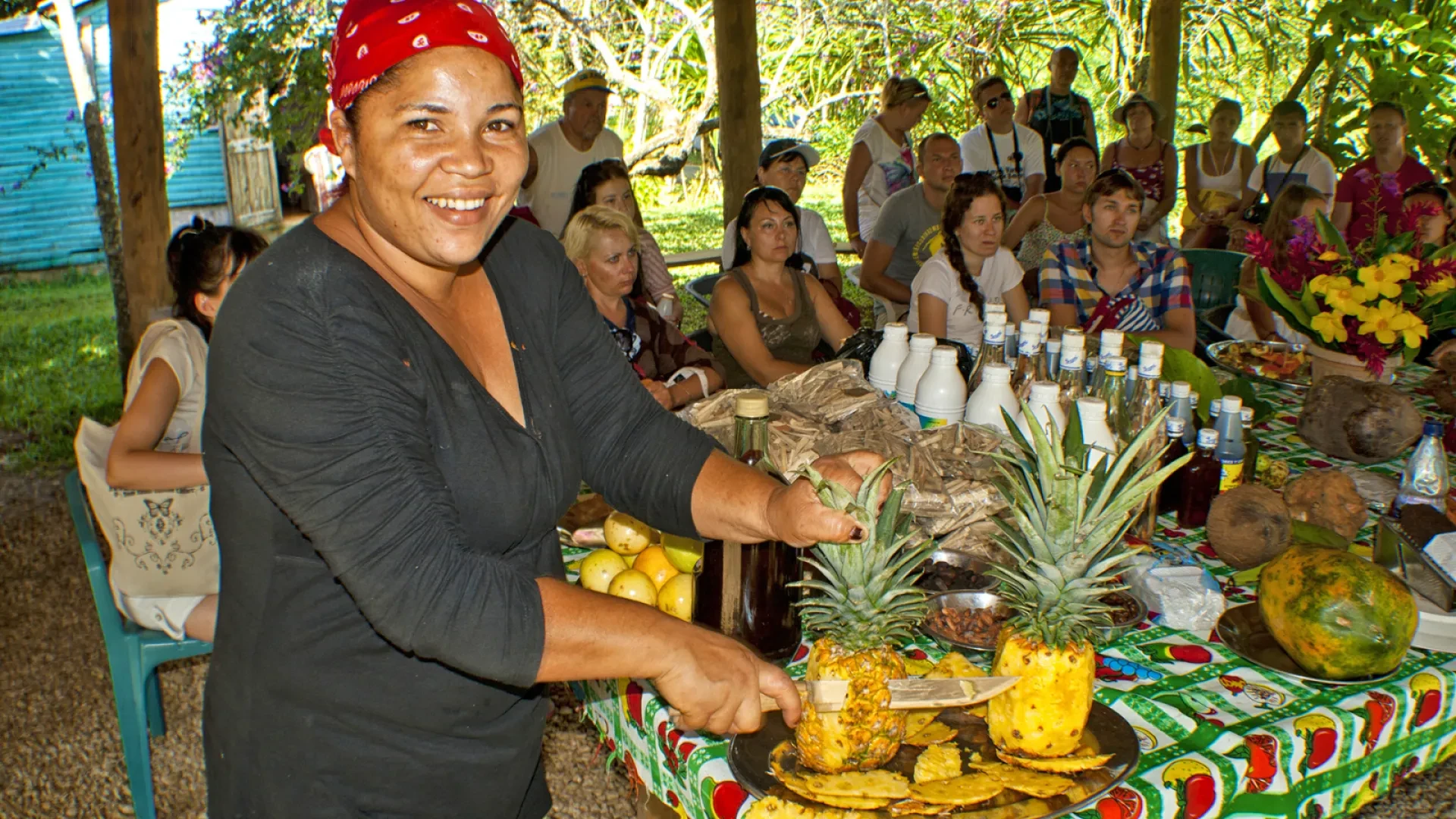 Samana Runners Sightseeing Safari