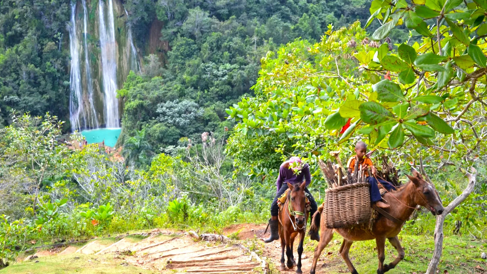 El Limon Waterfall Tour on Horseback
