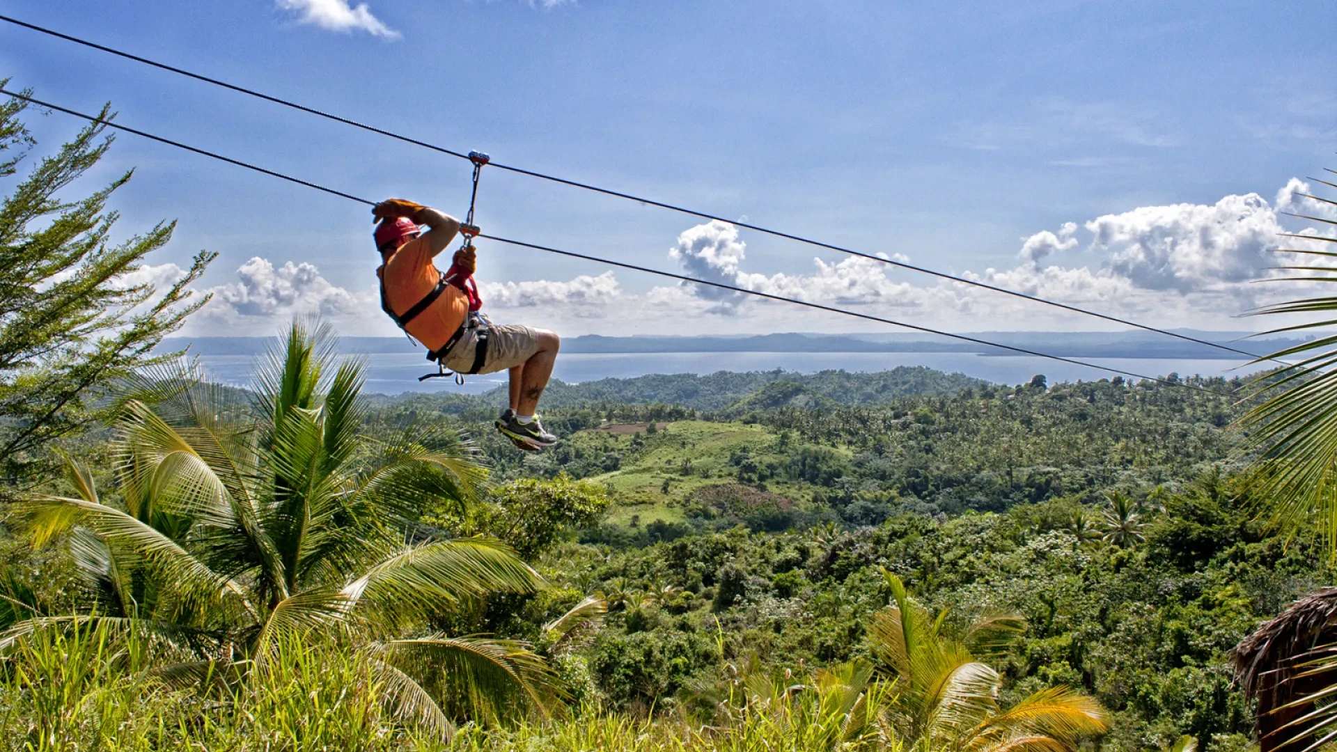 Zipline Adventure in Samana