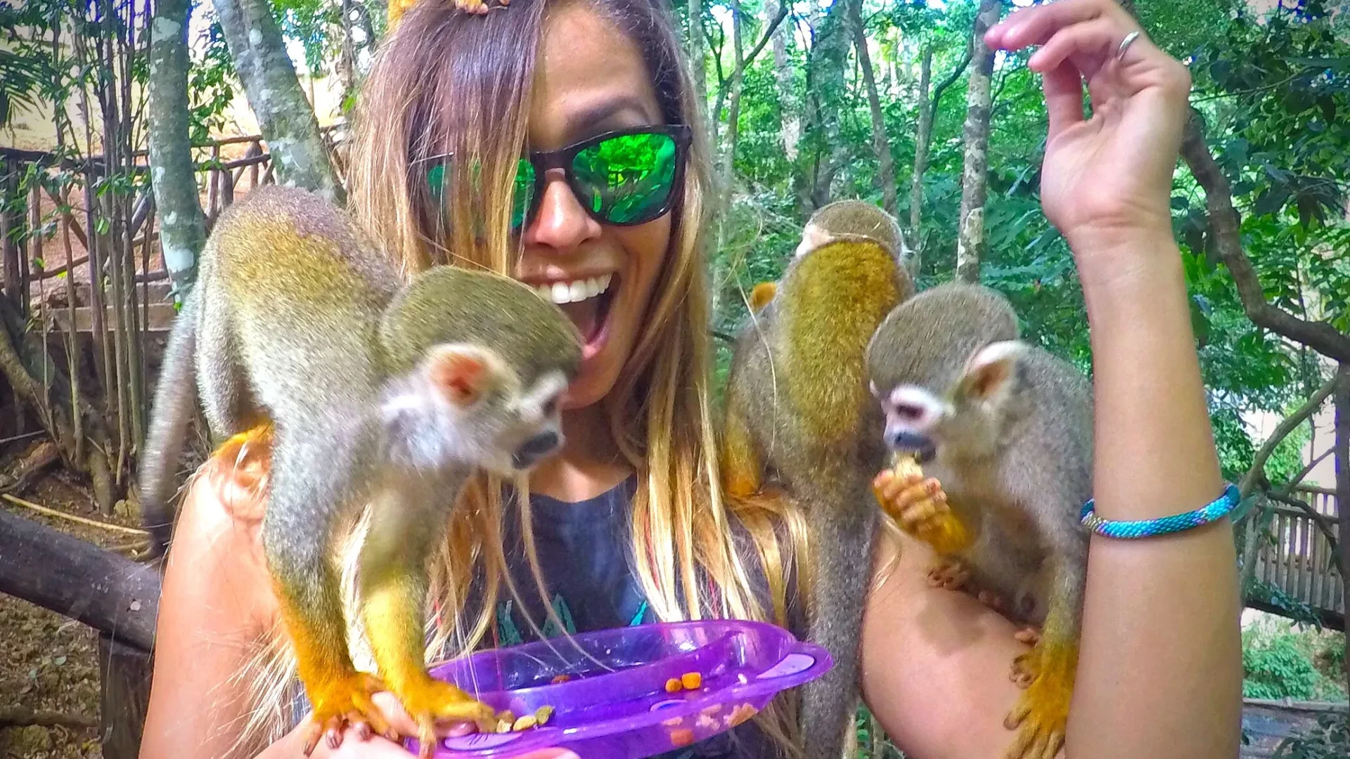 Monkeyland and Botanical Garden Tour in La Romana, Bayahibe