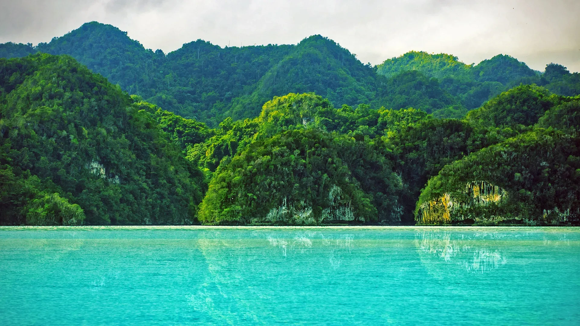 Los Haitises National Park Sightseeing Tour from Punta Cana