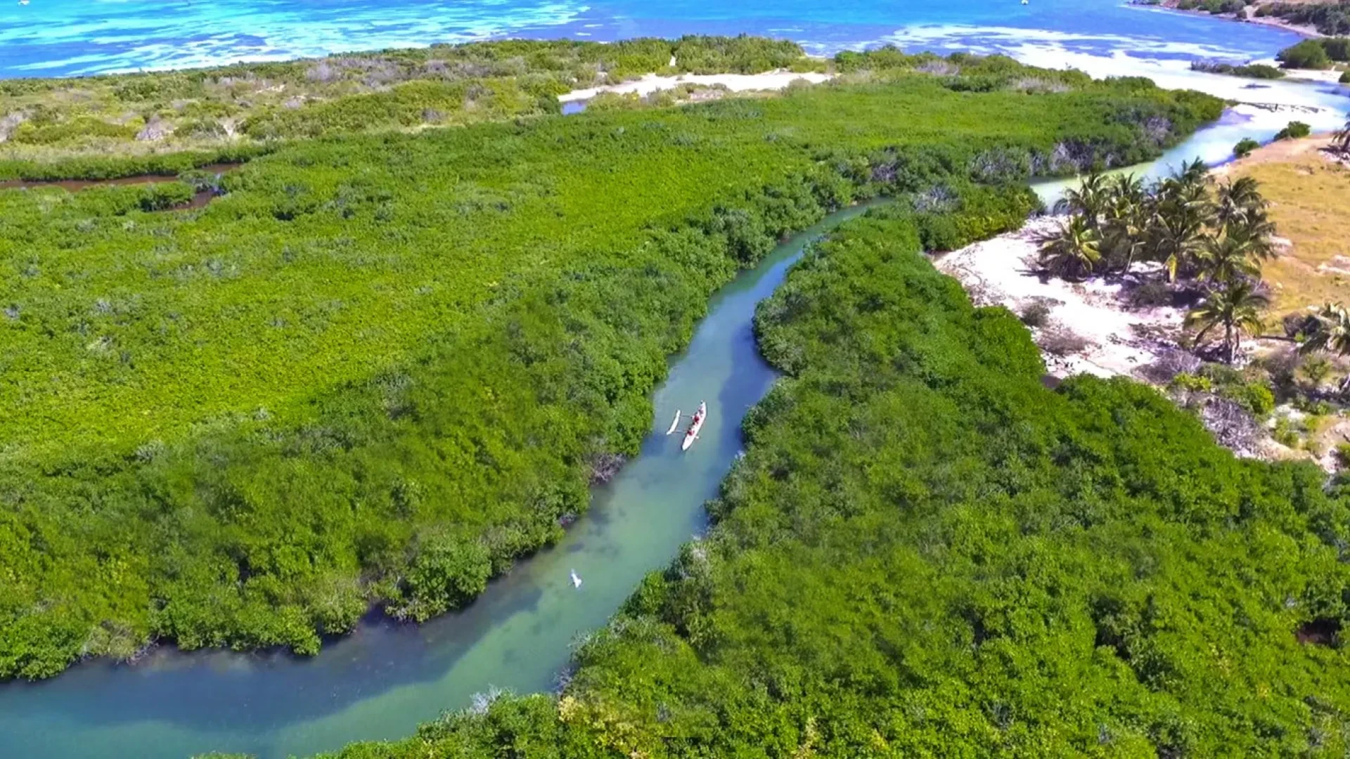 Hawaiian Canoe Mangrove Tour