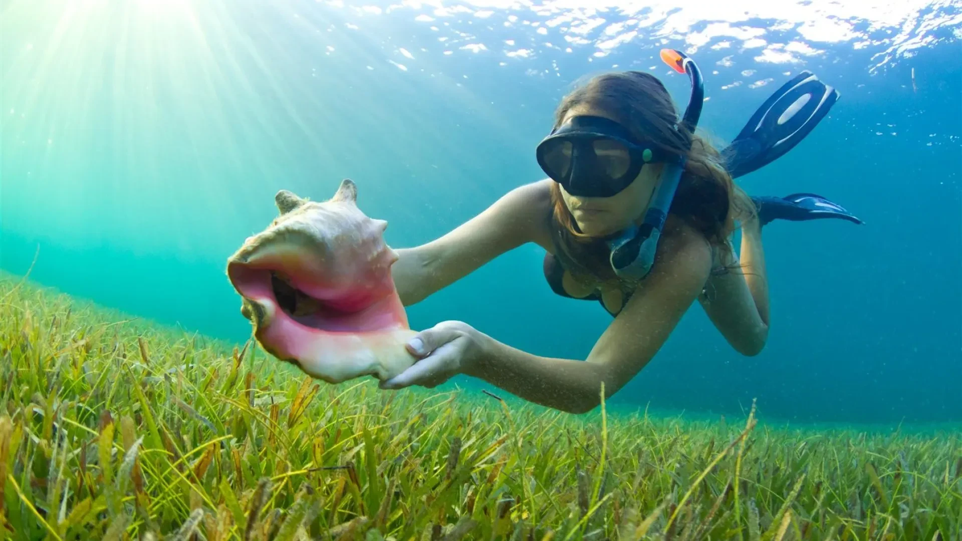 Pinel Island Snorkeling Trail Package with Hotel Transfer and Ferry to Pinel in St. Maarten