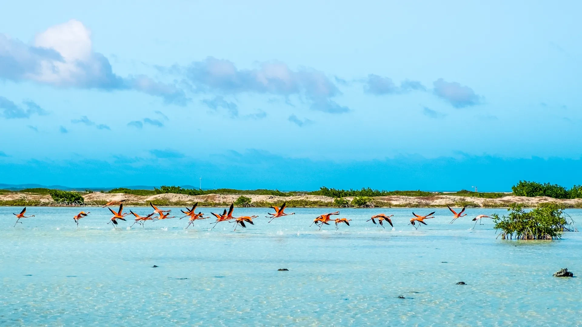 South-Bonaire Island Tour by Car