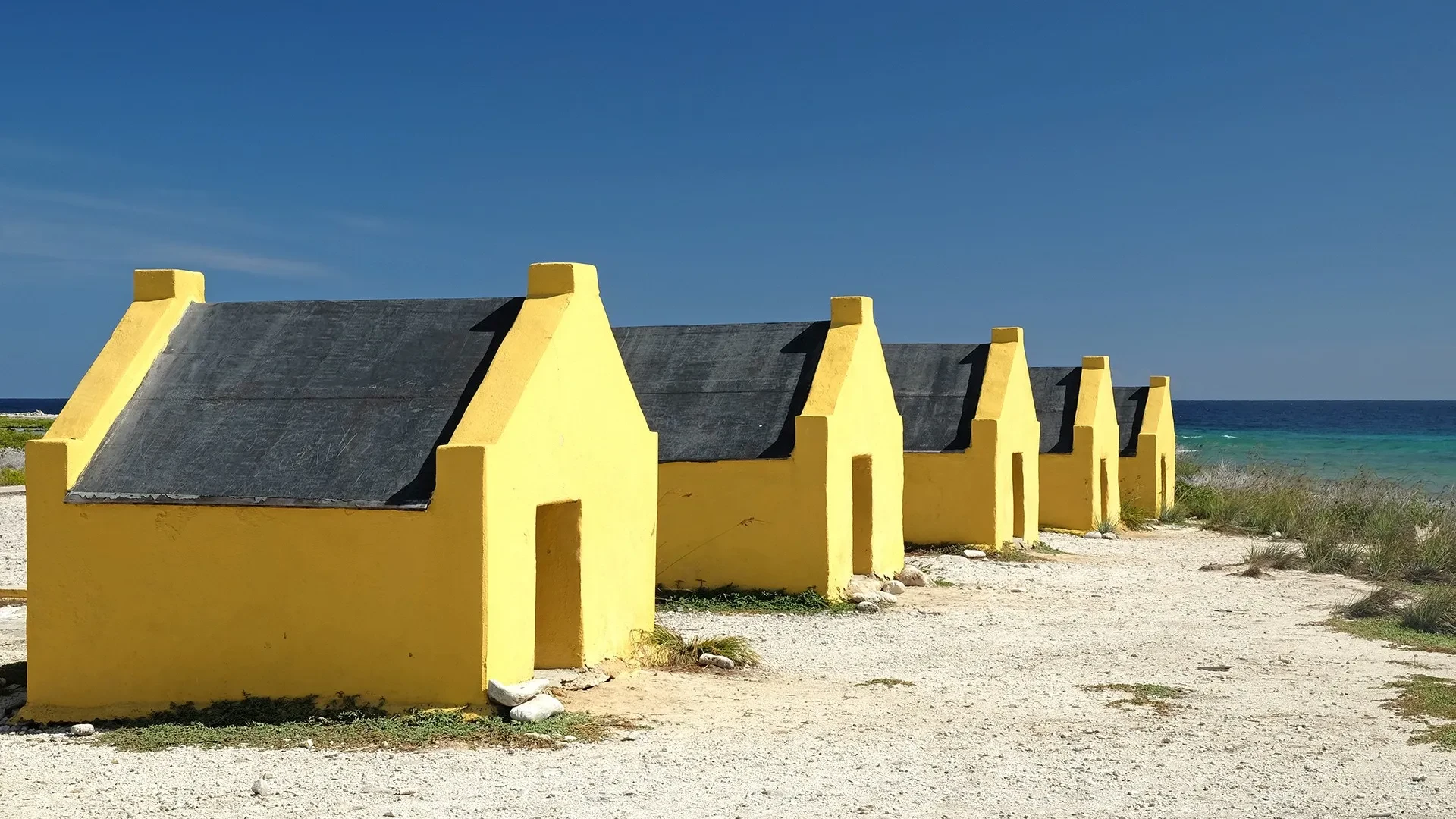 South-Bonaire Island Land Tour and Glass Bottom Boat Tour