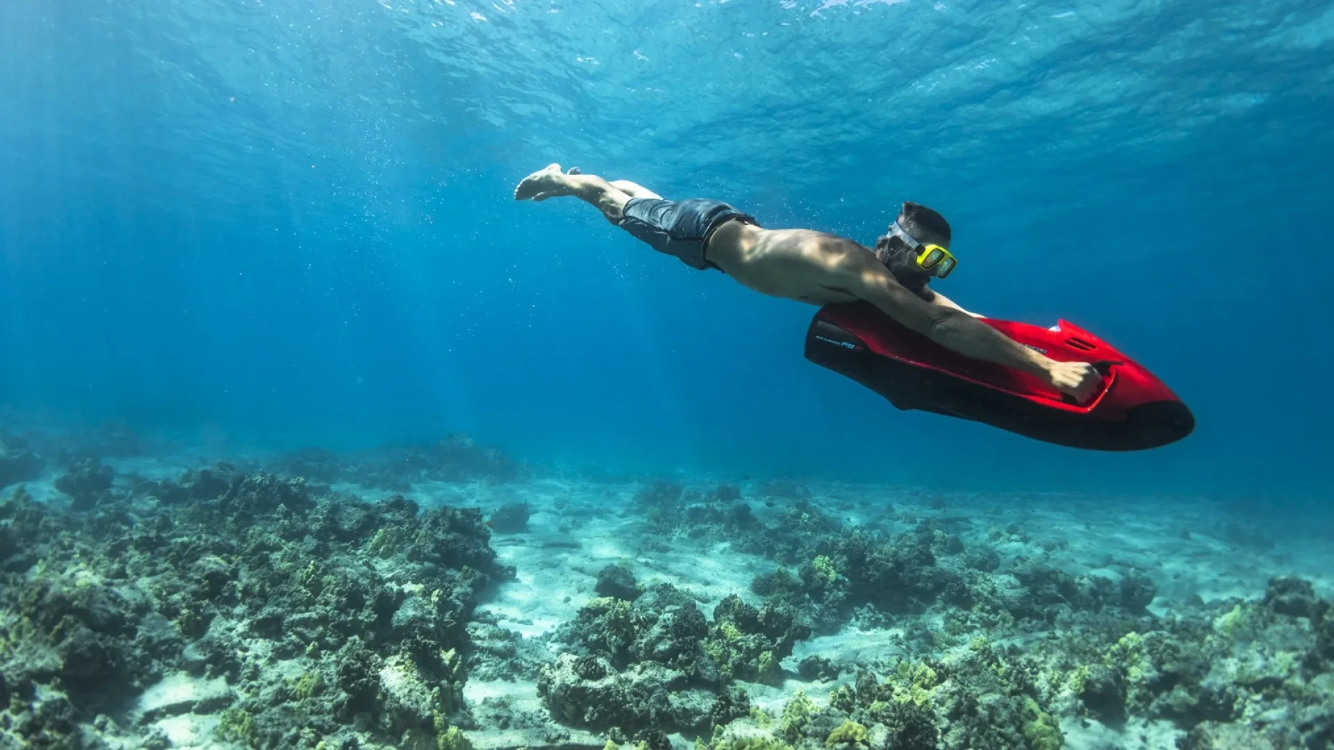 Catamaran Afternoon Power Snorkeling Tour in Aruba