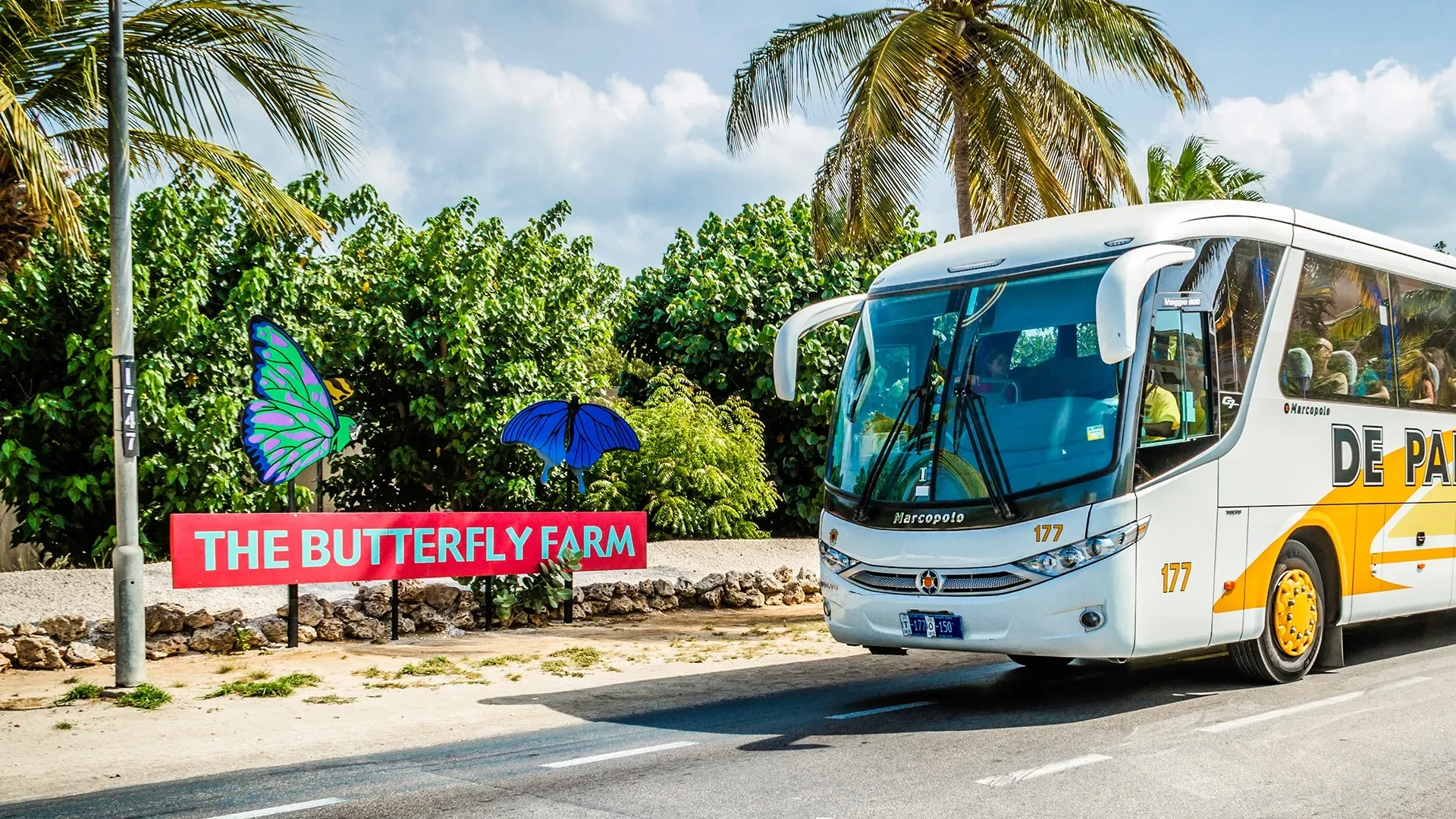 Aruba Sightseeing Bus Tour: Half-Day