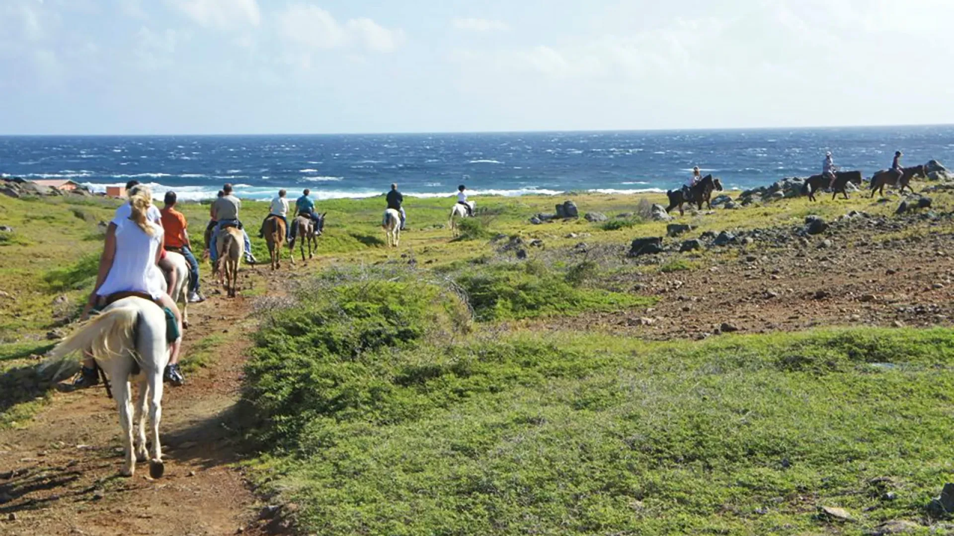 Horseback Riding in Aruba: North-East Coast and Sand Dunes