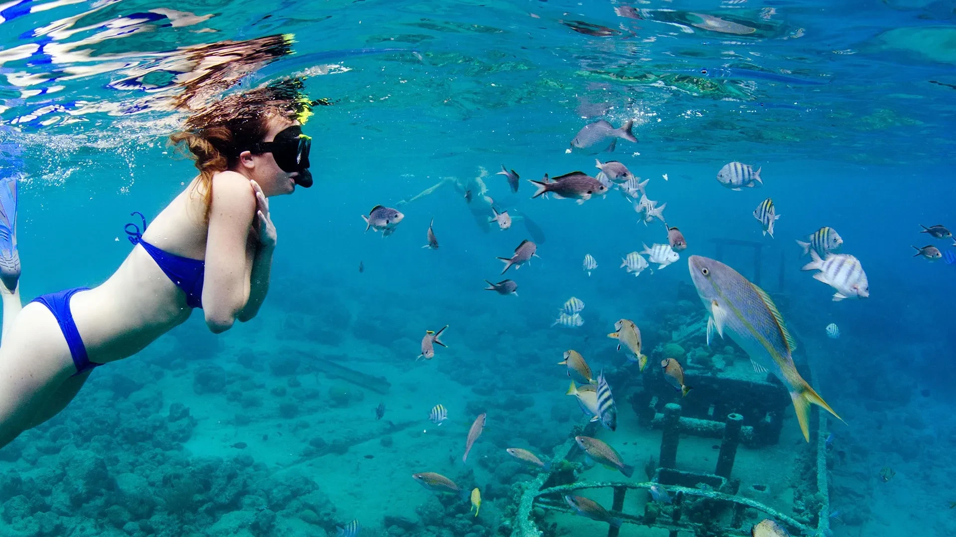Tugboat and Reef Snorkel Adventure by Sailing Yacht