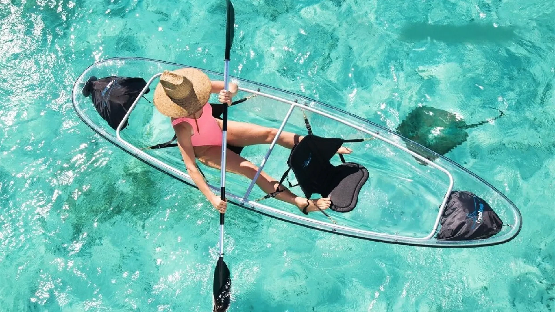 Glass Bottom Kayak Coral Reef Tour in Folkestone Marine Park