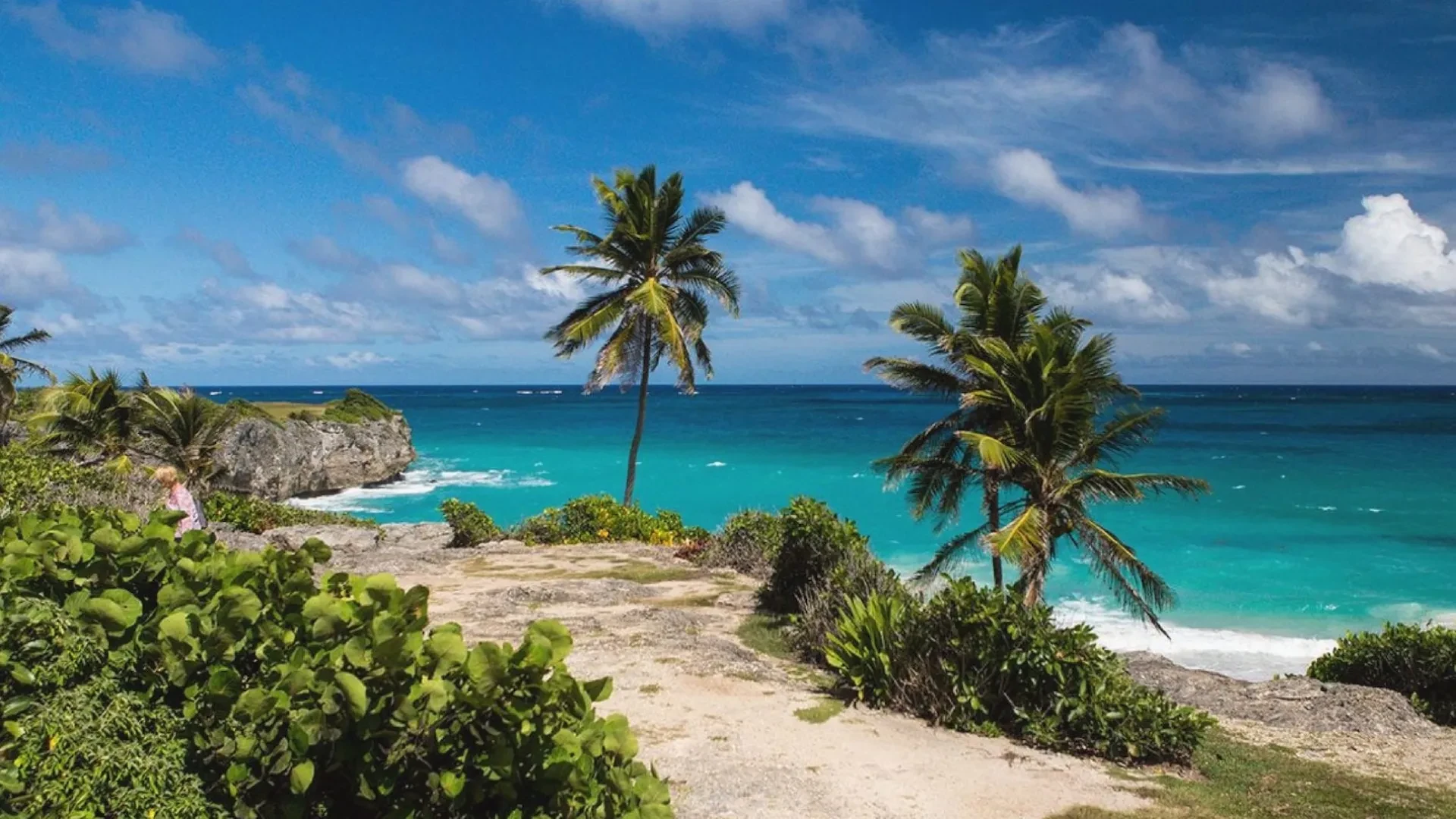 Island Tour by Premium Mini Bus in Barbados: Full-Day