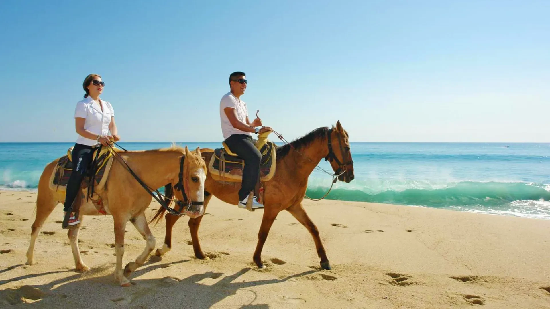 Horseback Riding in Barbados: Coastal Countryside Tour
