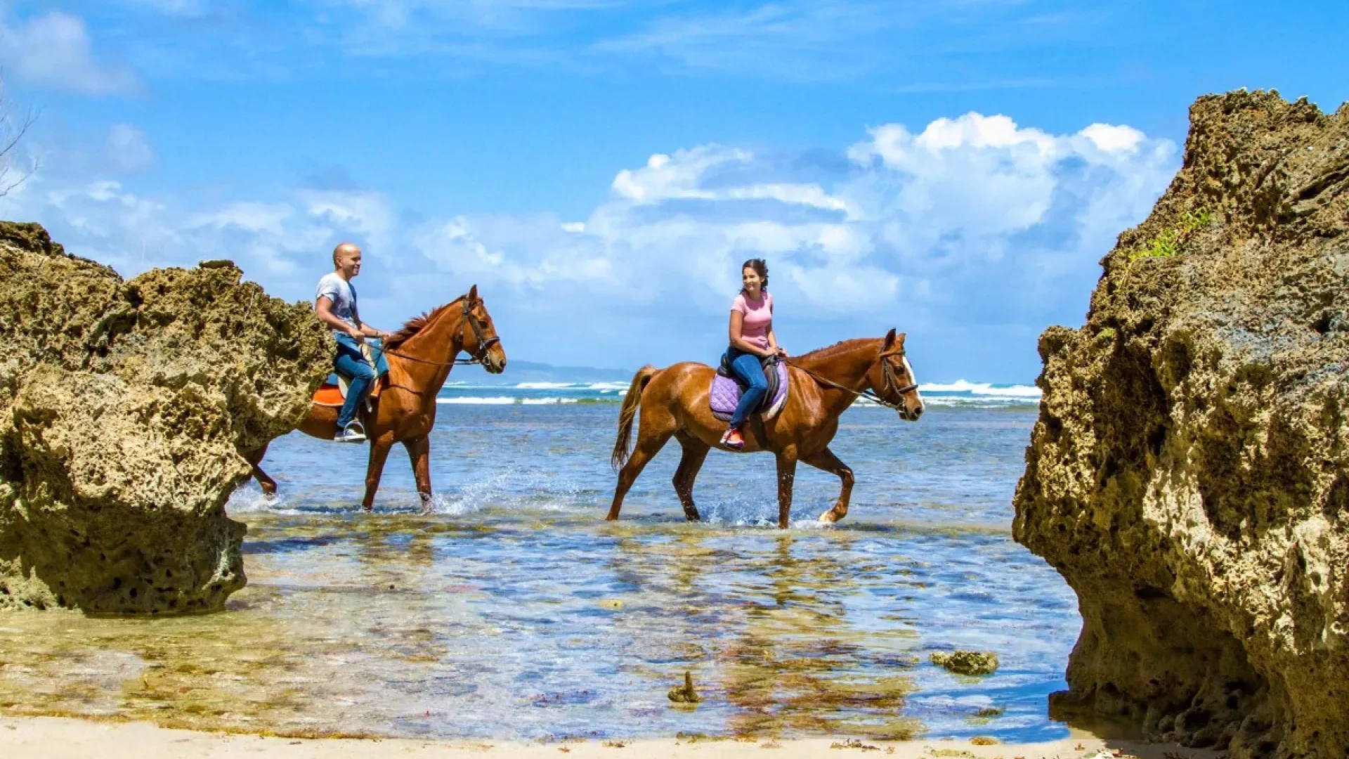 Horseback Riding in Barbados: Bath Beach Tour