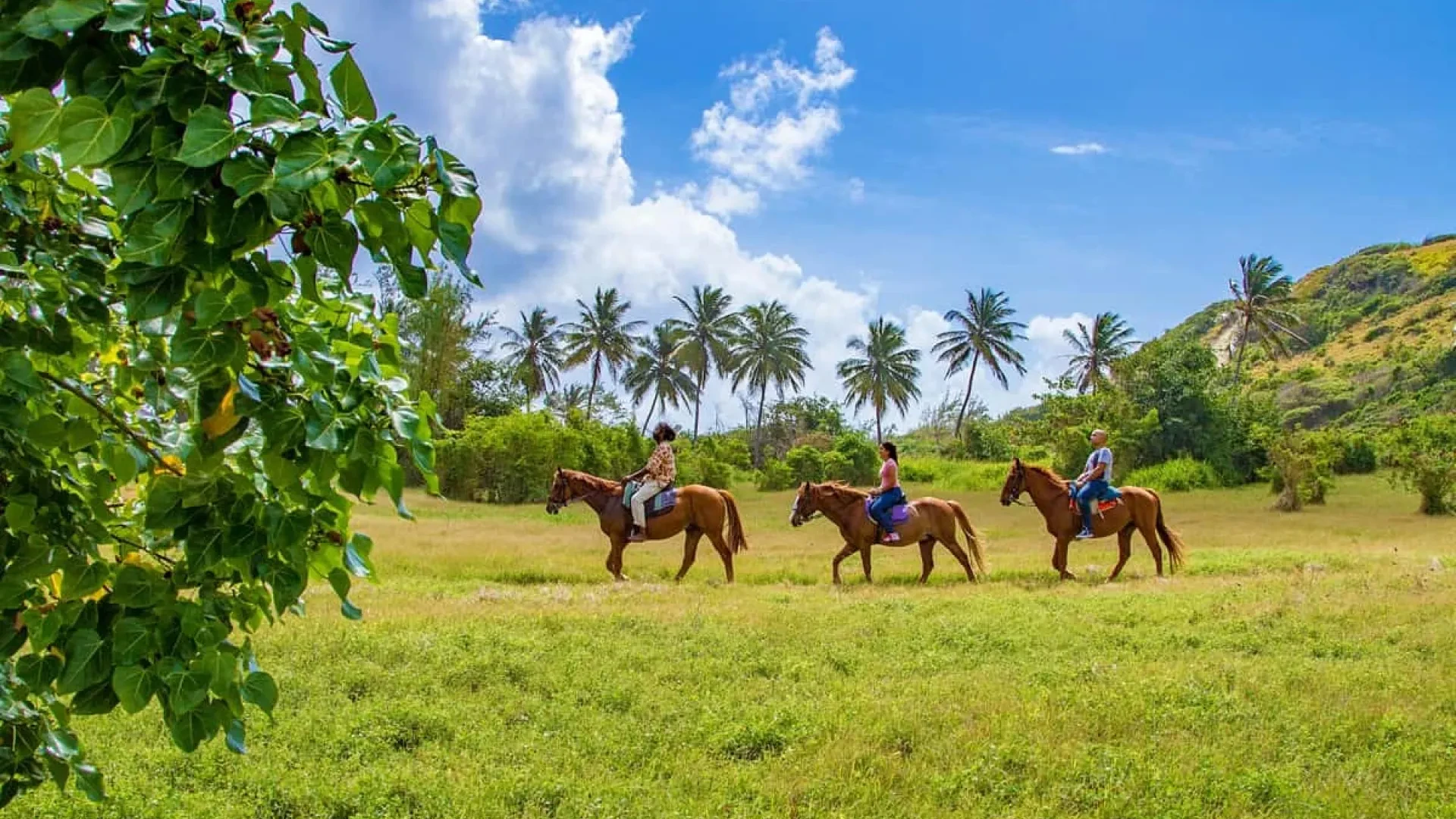Horseback Riding in Barbados: Off-Road Tour