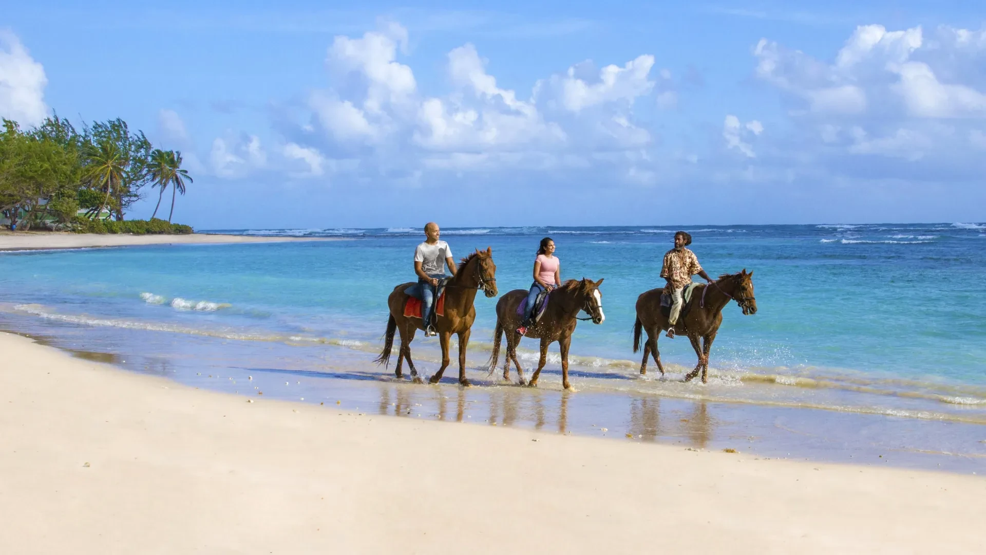 Horseback Riding in Barbados: Conset Bay Tour