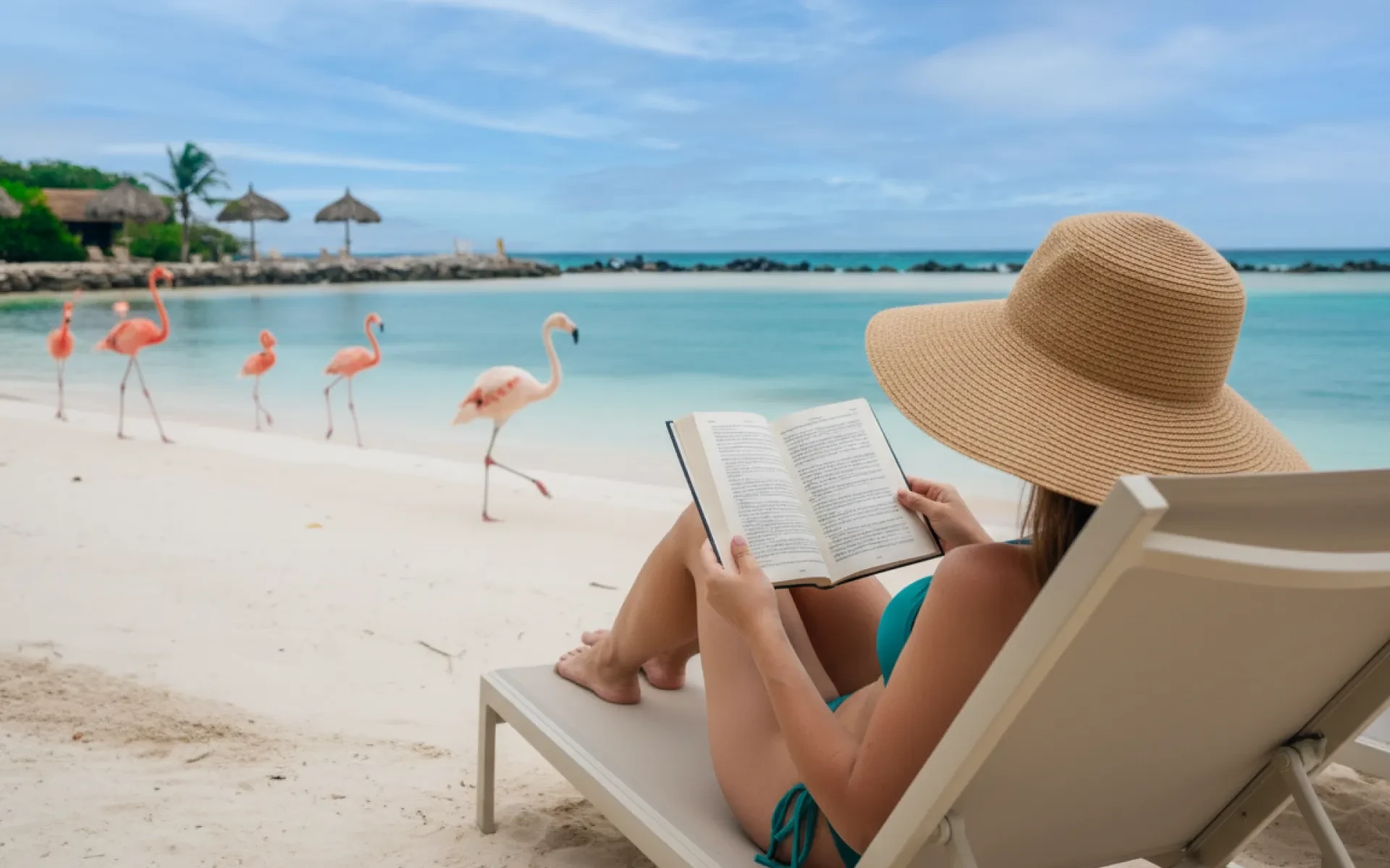 Woman reading the an Aruba book on Flamingo Island