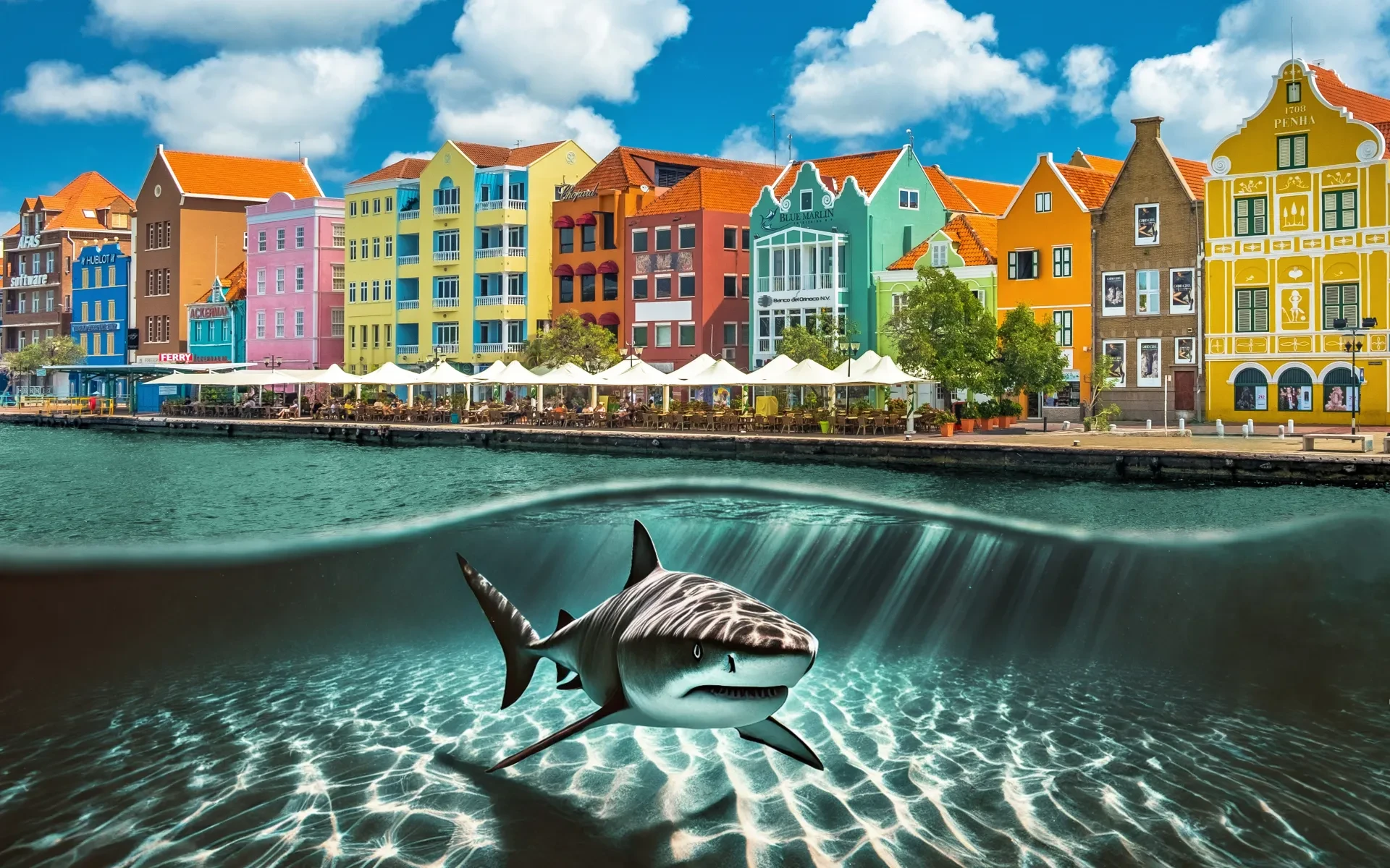 Curacao Shark Attacks: Statistics & Safety Tips In 2025