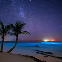 Bioluminescence, a magical hidden gem in the Caribbean in 2025