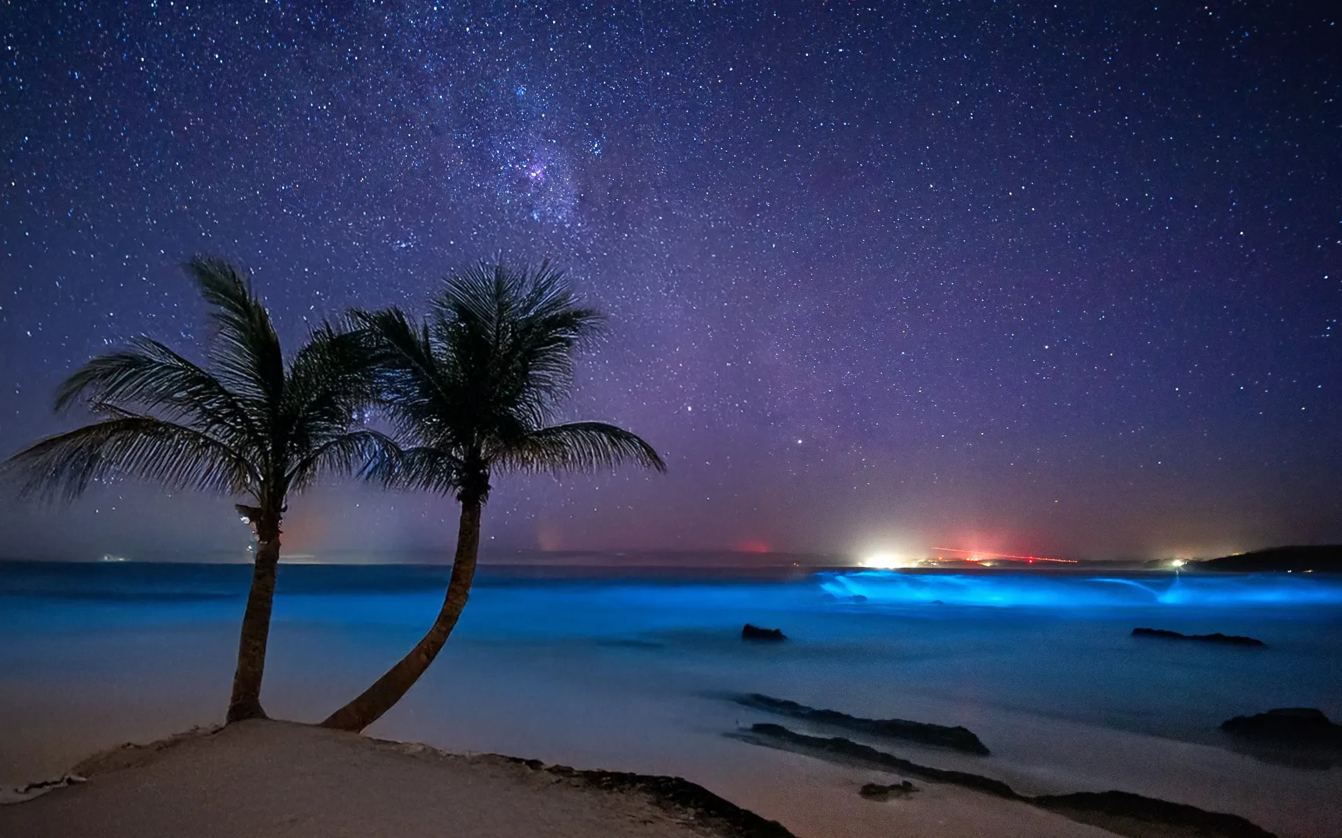 Bioluminescence, a magical hidden gem in the Caribbean in 2025