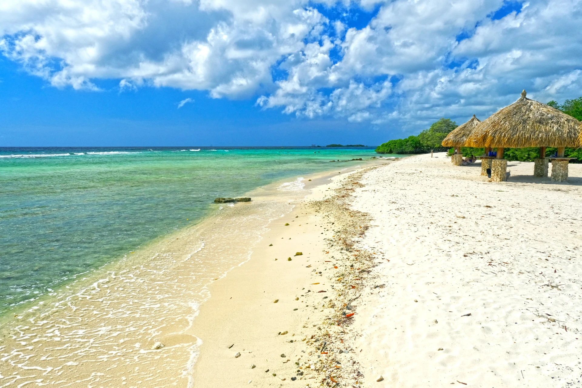 Magel Halto Aruba