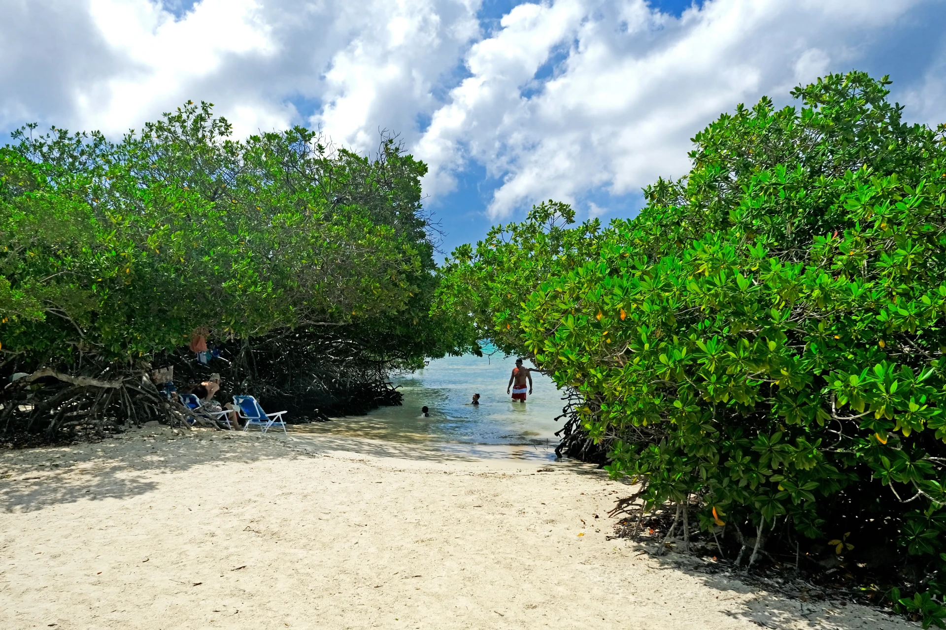 Magel Halto Aruba