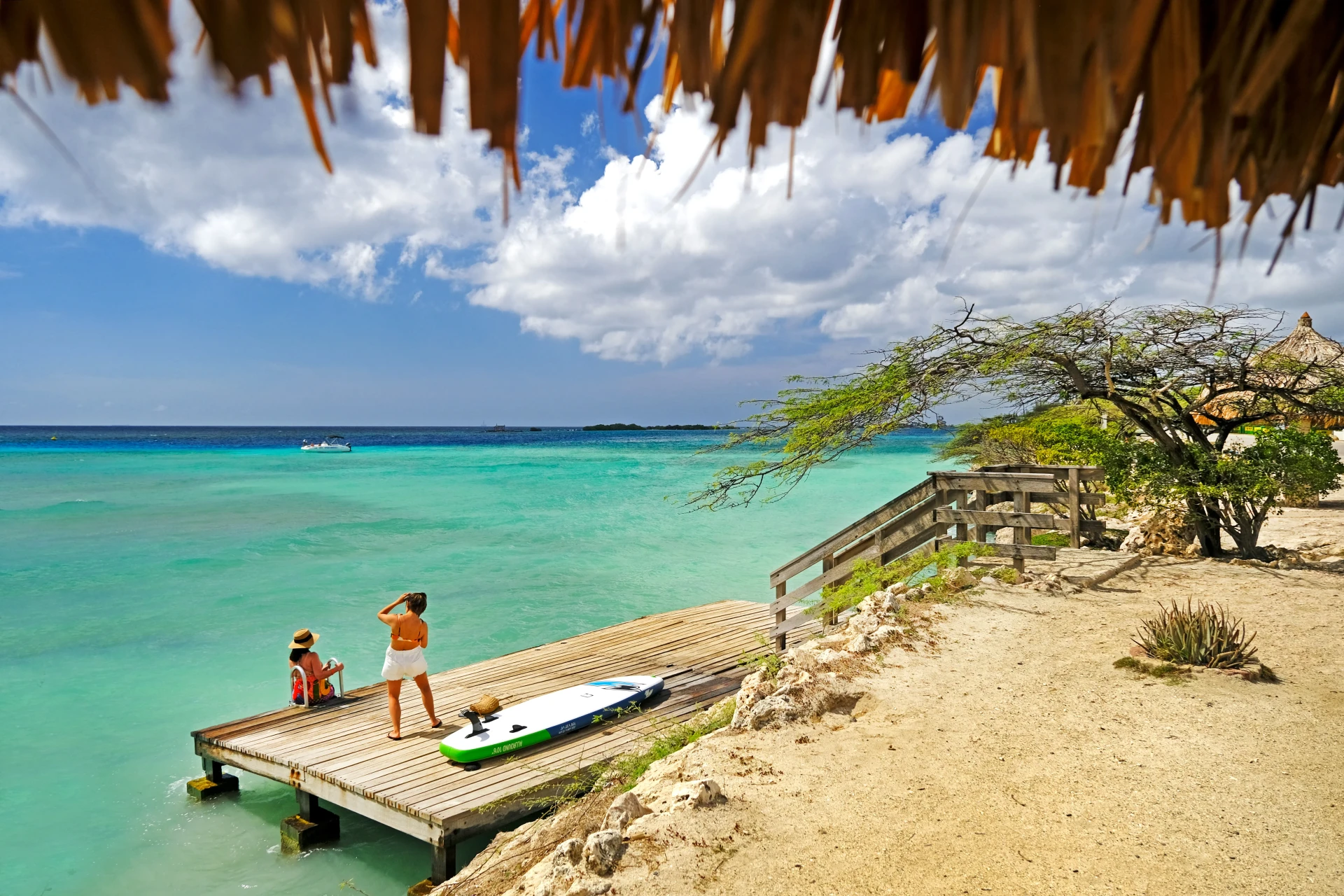 Magel Halto Aruba photos
