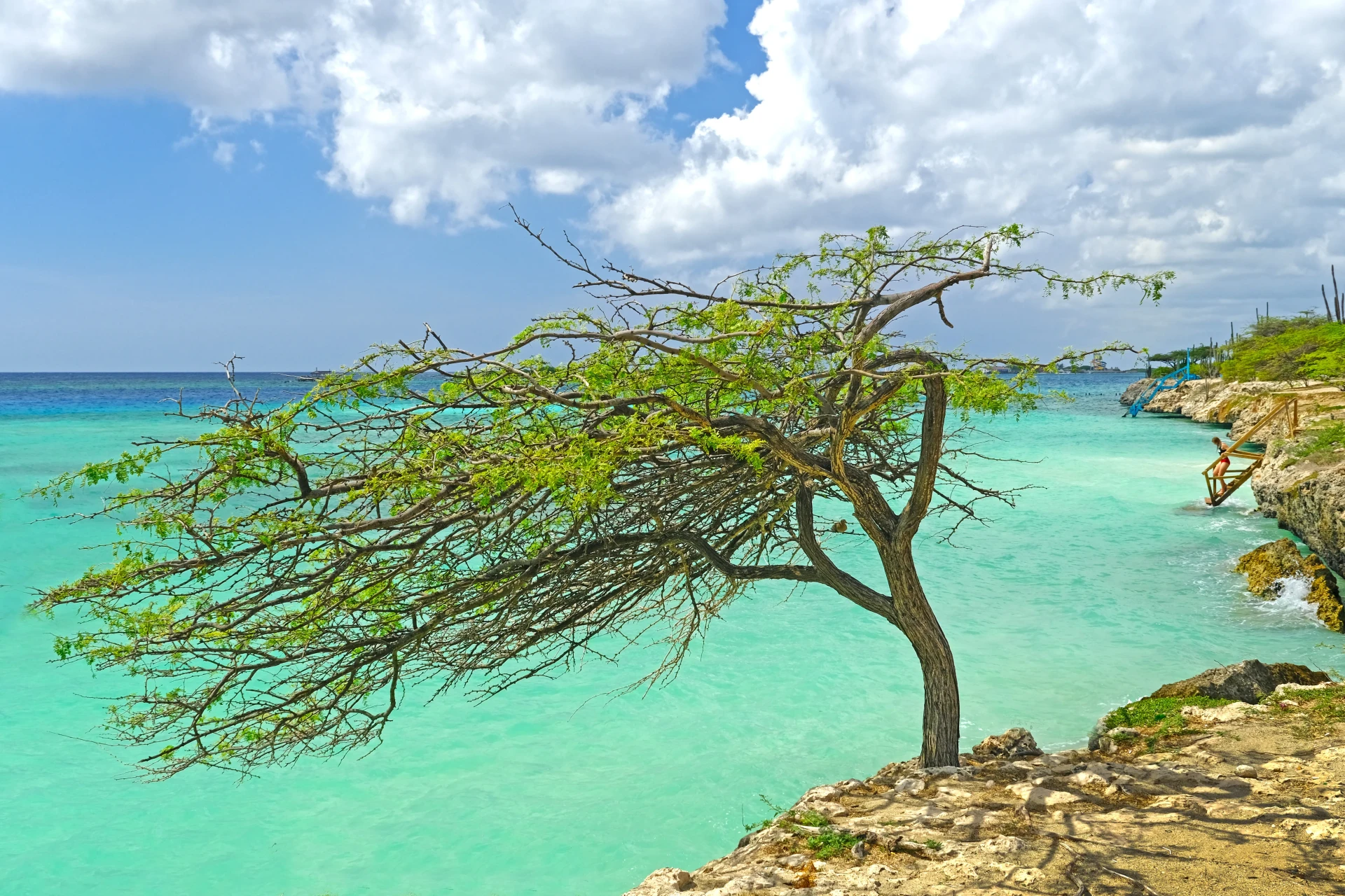 Magel Halto Aruba