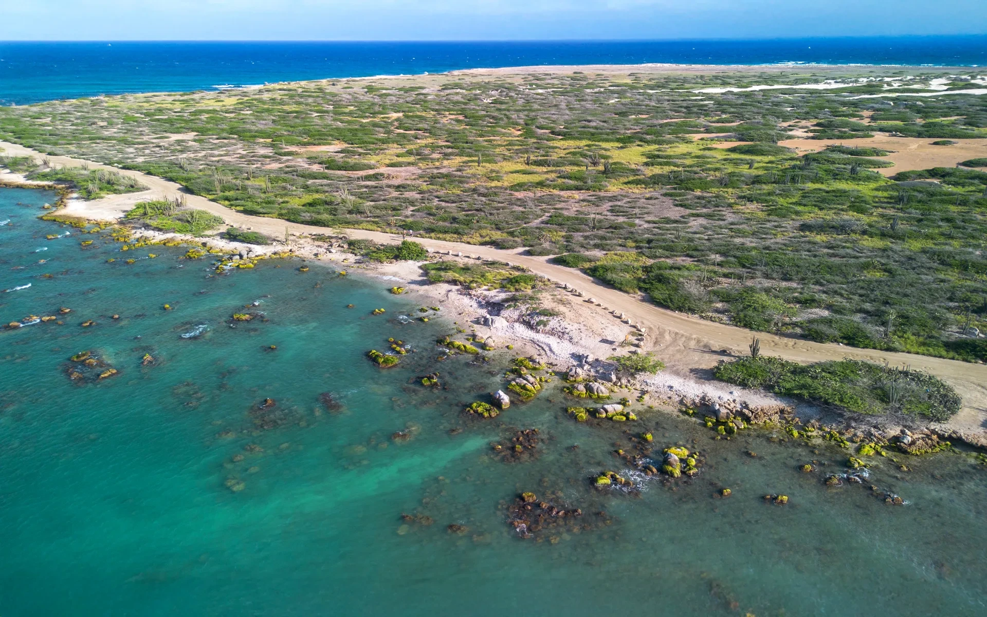 Conch Shell Beach Aruba 2025