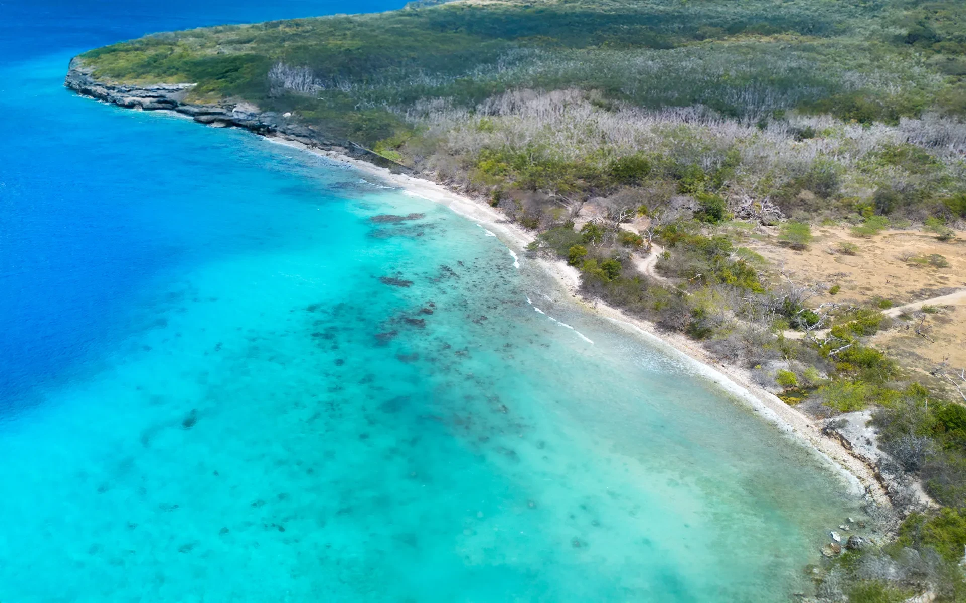 Boka Spanjo Curacao 2025