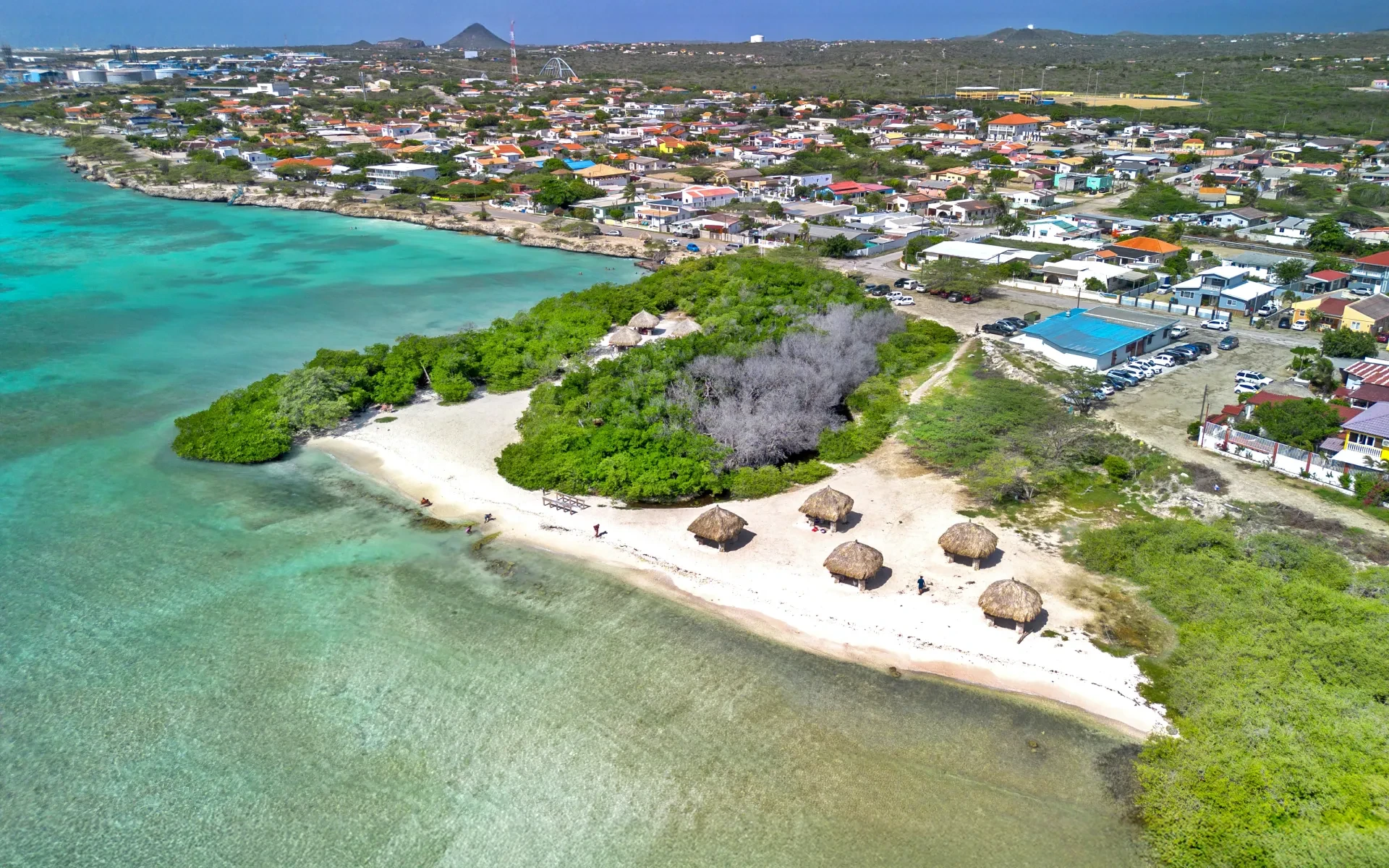 Mangel Halto Beach Aruba 2025